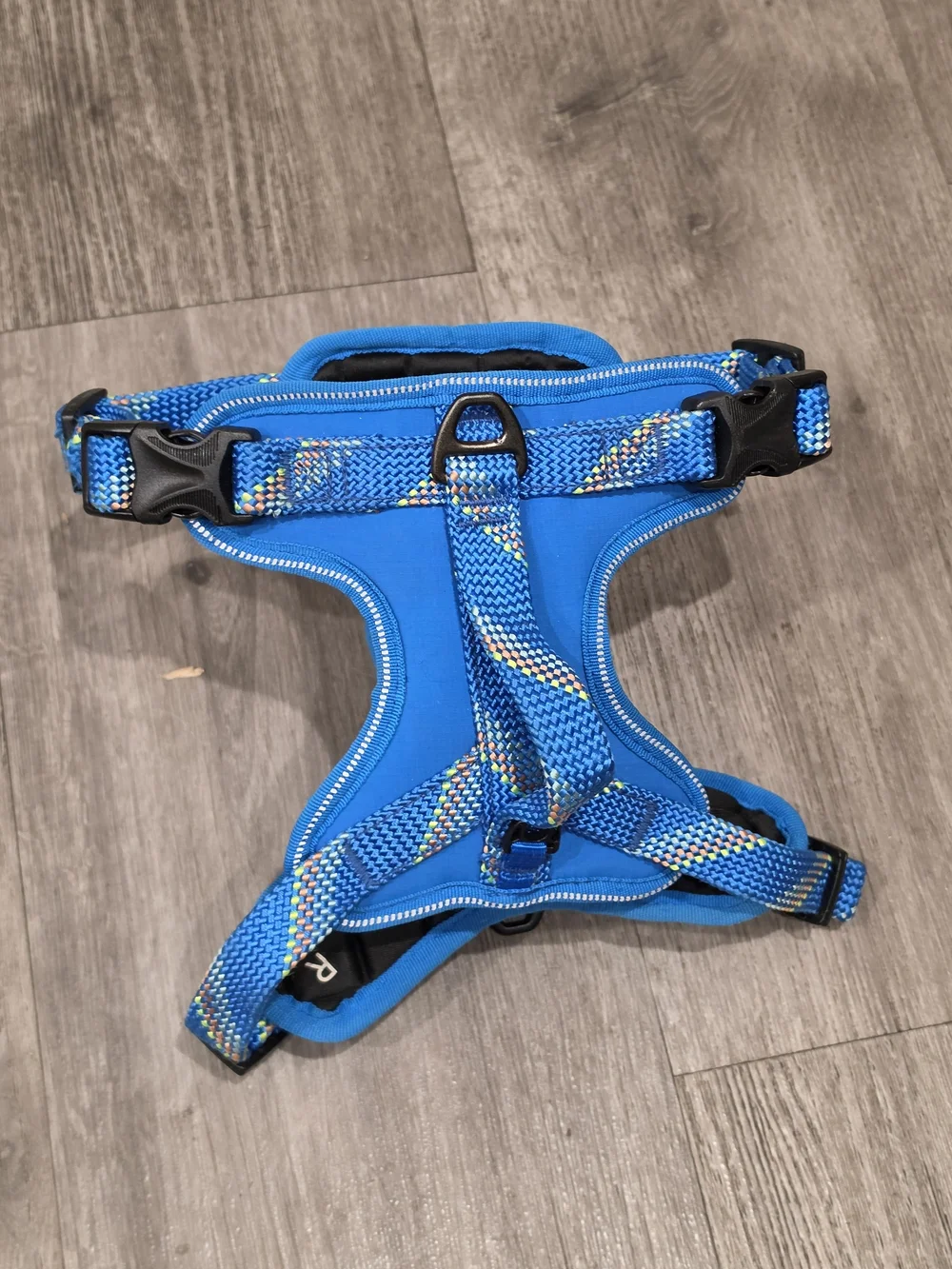 Arcadia Trail Blue Padded Dog Harness with Multicolor Webbing